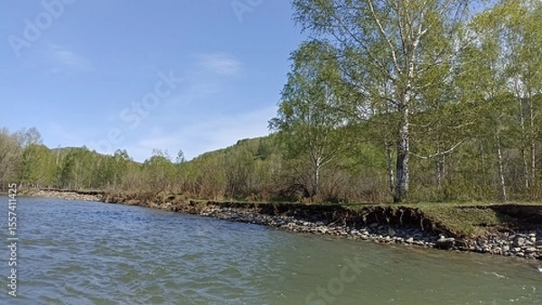 Fototapeta Discover a peaceful river flowing through a lush green forest, framed by a stunning rocky cliff. Ideal for tourism and inspiration, this scene captures the beauty of nature.
