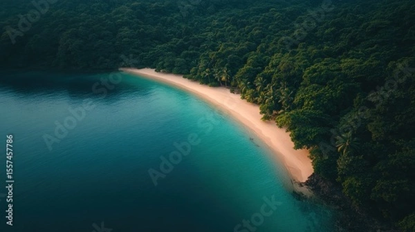 Fototapeta Pristine beach, lush jungle, turquoise water