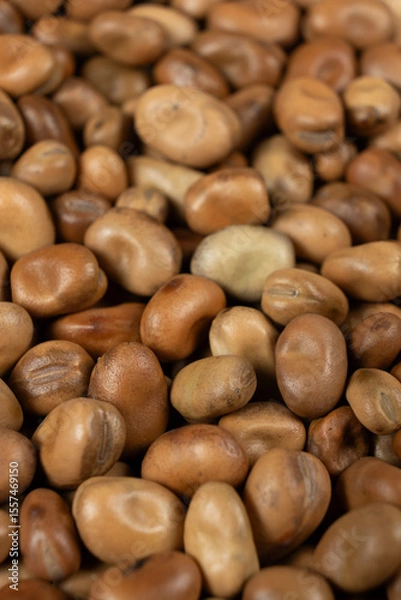 Fototapeta Whole dried raw uncooked vicia faba beans macro