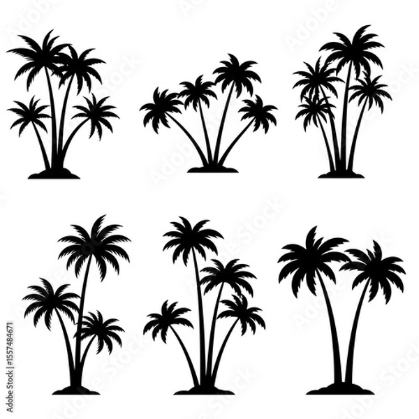 Obraz Silhouette Collection: Six Tropical Palm Trees, Minimalist Black and White, Island Vacation Theme, Vector Graphics.