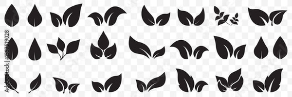Fototapeta leaf icon. Black leaf icons set. Leaves icon on transparent background. Collection green leaf. Elements design for natural, eco, vegan, bio labels  on Transparent Background. EPS 10.