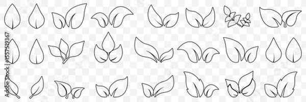 Fototapeta set of line leaf icons on Transparent Background. EPS 10.