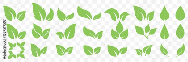 Fototapeta Green leaf icons set. Leaves icon on isolated Transparent background. Collection green leaf. Elements design for natural, eco, vegan, bio labels. Vector illustration EPS 10