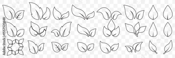 Fototapeta set of line leaf icons on Transparent Background. EPS 10.