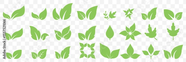 Fototapeta Green leaf icons set. Leaves icon on isolated Transparent background. Collection green leaf. Elements design for natural, eco, vegan, bio labels. Vector illustration EPS 10