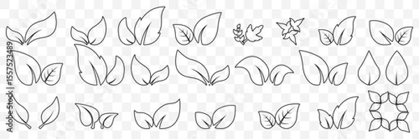 Fototapeta set of line leaf icons on Transparent Background. EPS 10.