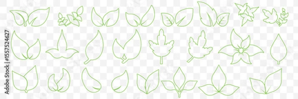 Fototapeta set of Green line leaf icons on Transparent Background. EPS 10.