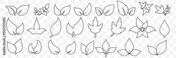 Fototapeta set of line leaf icons on Transparent Background. EPS 10.