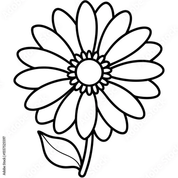 Obraz Daisy line art vector