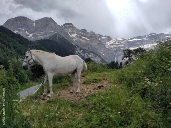 Obraz Sur le chemin de Gavarnie
