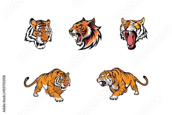 Obraz Roaring tiger logo design vector illustration