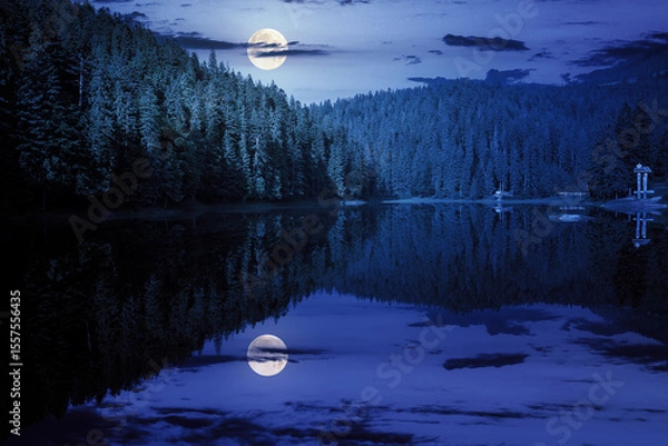 Obraz scenic landscape with lake among coniferous forest at night. green environment in the heart of a spooky park in full moon glowing light