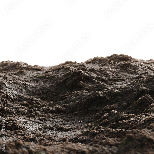Obraz Rich Soil Texture A Detailed Ground Surface on transparent Background