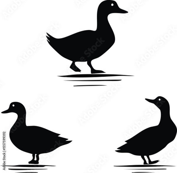 Fototapeta Elegant Duck Silhouettes A Versatile Animals Silhouette Set for Design Projects