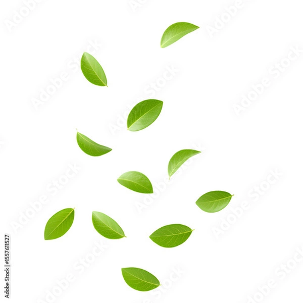 Obraz green leaves falling down PNG. Green foliage leaves flying isolated. Luscious green leaf tumbling down for botany and nature themes PNG. leaf and leaves png