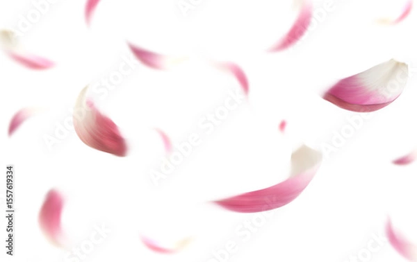 Fototapeta Realistic Lotus Petal Falling Transparent