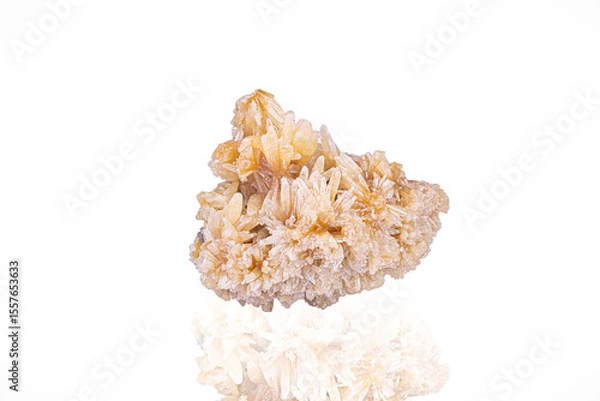 Fototapeta yellow Mimetite. Specimen from Tsumeb Mine, Namibia. photography isolated on white blackground. macro detail background. close-up mineral crystal unpolished semi-precious gemstone.