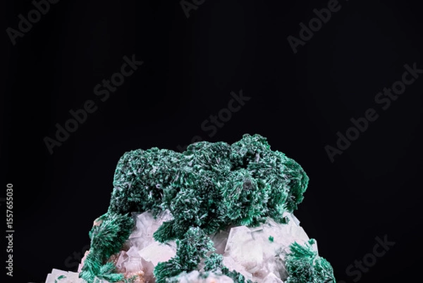 Fototapeta green Malachite on white Calcite. Specimen from Tsumeb mine, Namibia. macro photography detail texture background. close-up mineral crystal unpolished semi-precious gemstone
