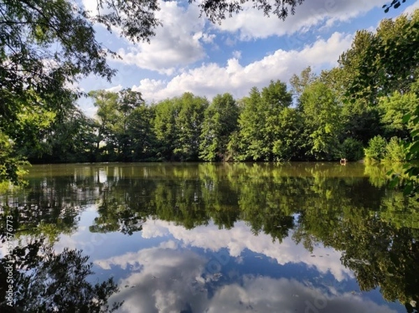 Obraz lake and forest - reflection