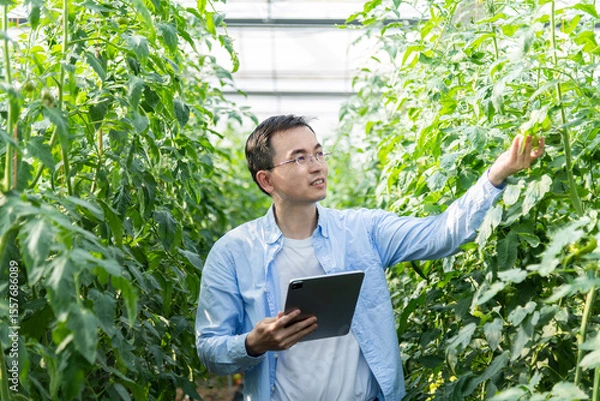 Obraz Young man farmer using digital tablet in tomato farm