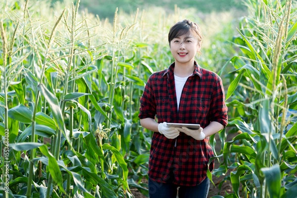 Obraz Young woman farmer using digital tablet in corn field