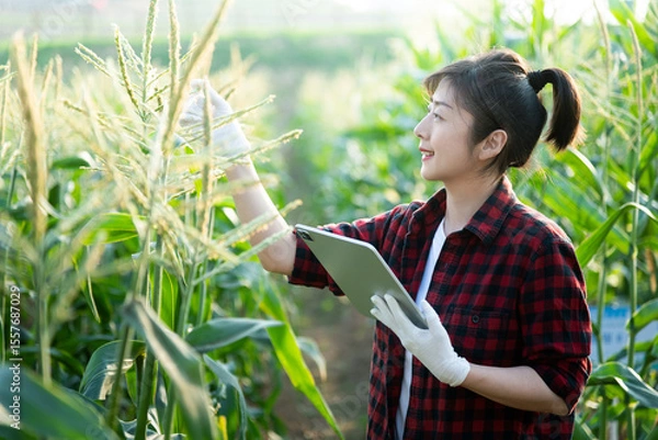 Obraz Young woman farmer using digital tablet in corn field