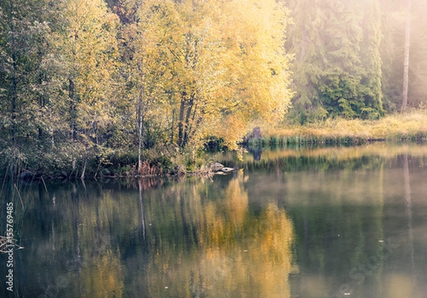 Obraz Nice morning light at autumn in little pond Finland
