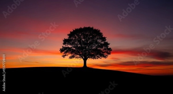 Obraz Silhouette of Tree at Sunset with Colorful Sky