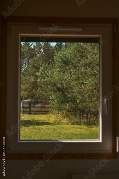 Fototapeta view through window