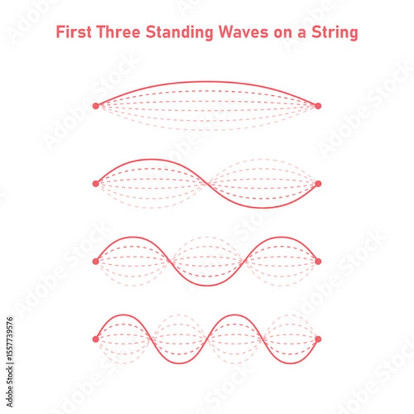 Fototapeta First Three Standing Waves on a String in Physics.