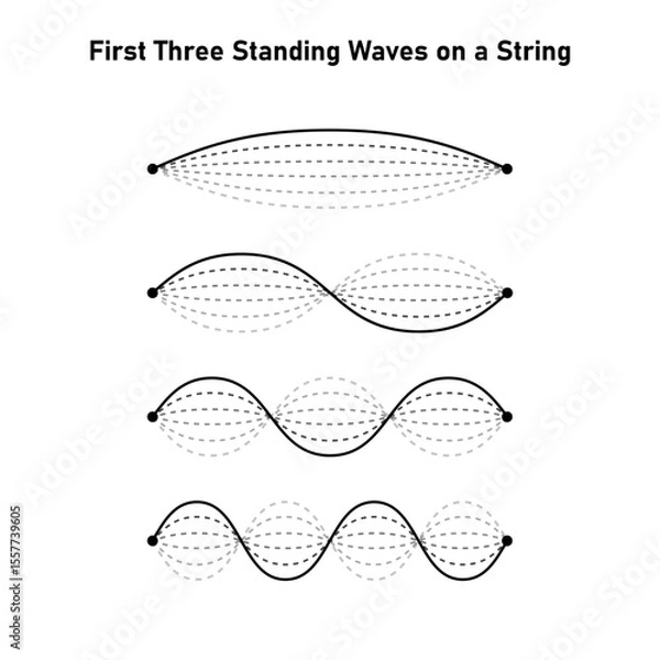 Fototapeta First Three Standing Waves on a String in Physics.
