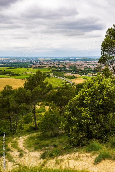 Fototapeta Panoramic View of the Cité de Carcassonne from the Hills Outside the City
