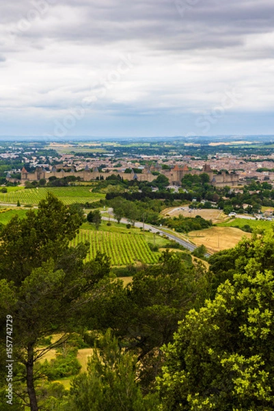 Fototapeta Panoramic View of the Cité de Carcassonne from the Hills Outside the City