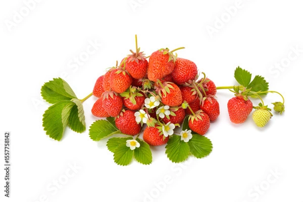 Fototapeta Bright fresh ripe strawberries with green leaves isolated on white