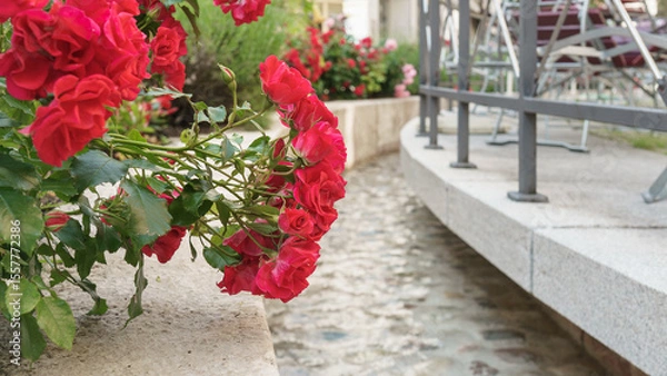 Obraz Mit Rosen bepflanzter Bachlauf in der Fußgängerzone von Bad Reichenhall