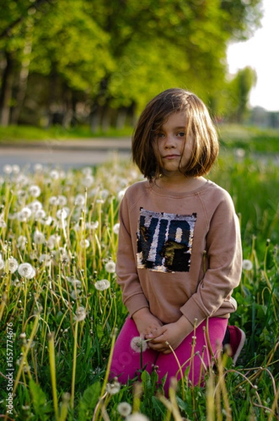 Fototapeta Child in dandelion field holding fluffy bloom. Dark blonde hair, pink pants, sparkling top. Intense gaze, soft backlight, nature wonder
