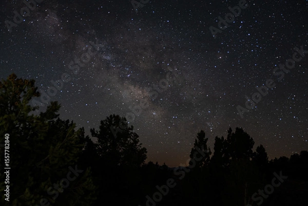 Fototapeta Core of the Milky Way glows over forested ridge on a moonless night, star clouds and interstellar dust lanes rendered in stunning detail, offering tranquil cosmic perspective amid earthly stillness.