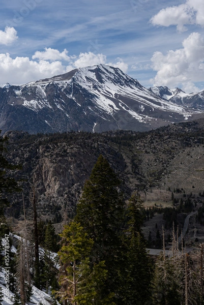 Fototapeta Prominent pyramid-shaped summit dominates a tapestry of dark evergreen forest and rocky foothills, its sharp snow-dusted ridges cutting into cottony cumulus clouds on a clear late spring afternoon