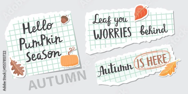 Fototapeta Autumn lettering on torn sheets. Pieces of squared paper, hand-written phrases, leaves, pumpkin and acorn. Collage elements set isolated on grey background. Vector design for banner, card, poster.