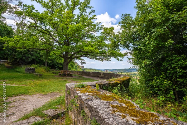 Fototapeta A tranquil, green oasis with benches around a large tree and a moss-covered stone wall on rolling hills under a cloudy sky