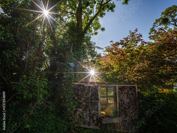 Obraz An idyllic scene with sunbeams reflecting and shining through green foliage and a rustic wooden building surrounded by plants and woodpiles