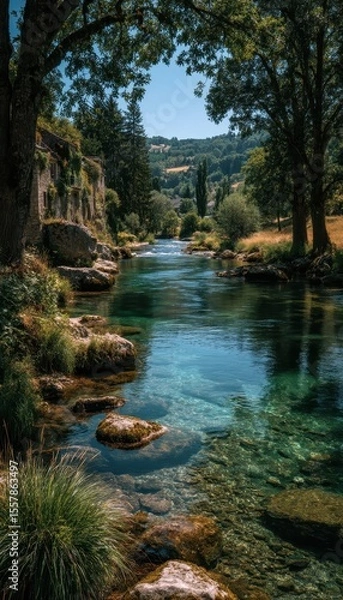 Obraz Tranquil river scene framed by lush trees and vegetation