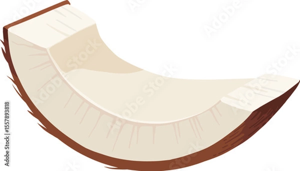 Fototapeta Coconuts and coconut half with leaves isolated on a white background. Vector illustration cartoon flat coconut icon isolated on white background.