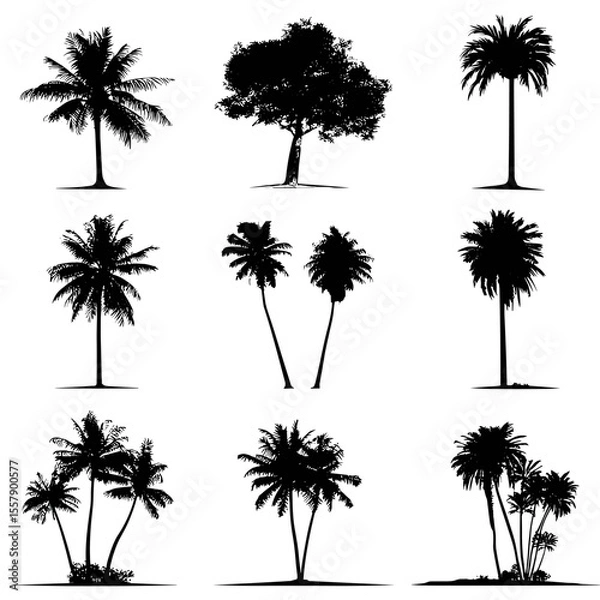 Fototapeta Vector illustration of black palm tree silhouettes on transparent background, clip art style, PNG format.