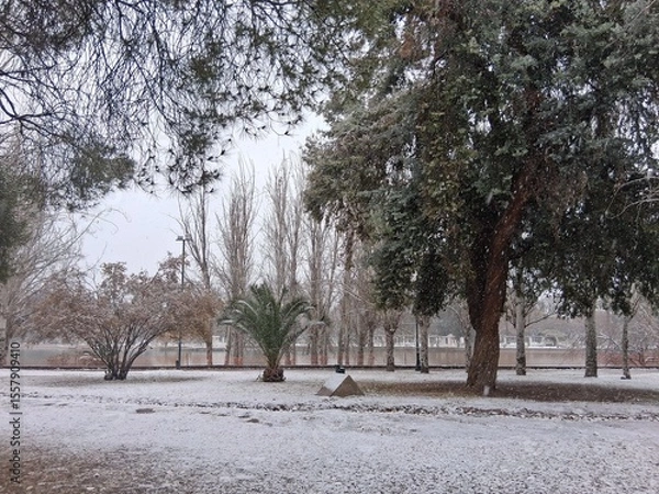 Obraz park in winter