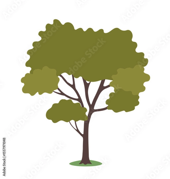 Fototapeta Tree with green foliage on white background. Vector illustration