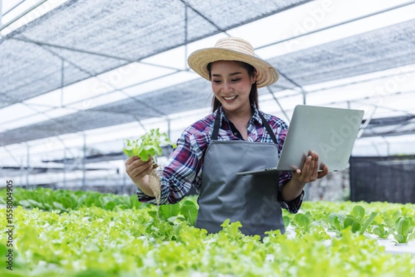 Obraz A smiling farmer in a hat and apron uses a laptop while inspecting fresh lettuce in a modern greenhouse. 
