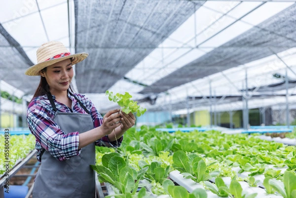 Obraz A young farmer wearing a hat and apron carefully inspects fresh lettuce in a modern greenhouse. The bright, lush environment emphasizes sustainable agriculture and precision farming practices.