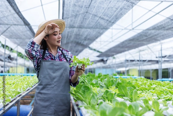 Obraz A female farmer in a hat and apron inspects a lettuce plant while wiping her forehead in a modern greenhouse. The image captures hard work, dedication, and the focus on sustainable agriculture.