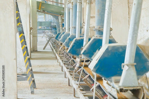 Fototapeta Conveyor system transporting wheat in grain distribution facility with multiple chutes and efficient layout